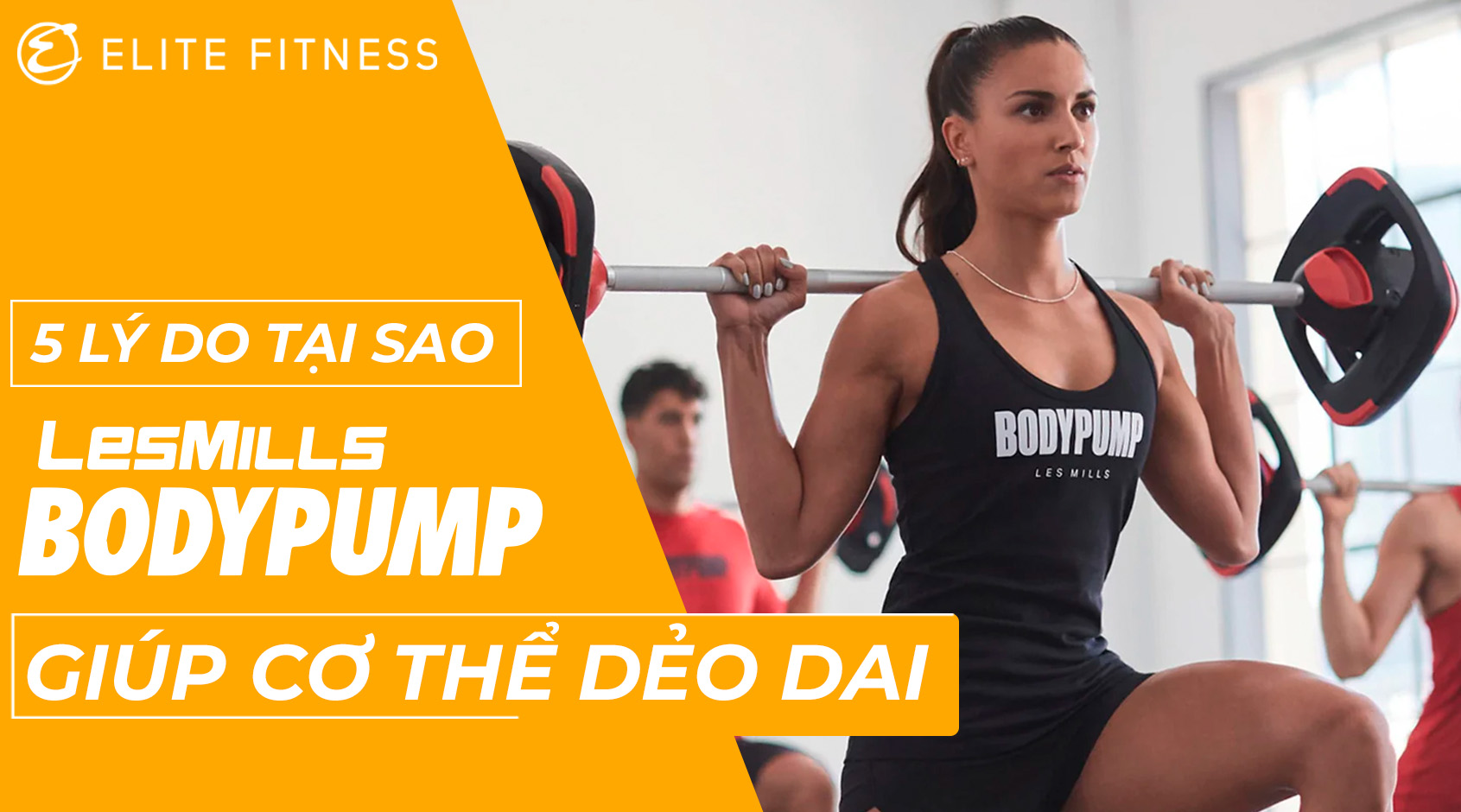 Yoga cho sức khỏe – Hội thảo kiểm soát các rối loạn tư thế