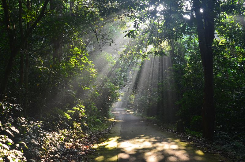 Cúc Phương Jungle Paths – Cung đường 100km băng qua màn đêm trong rừng già (phần 2)