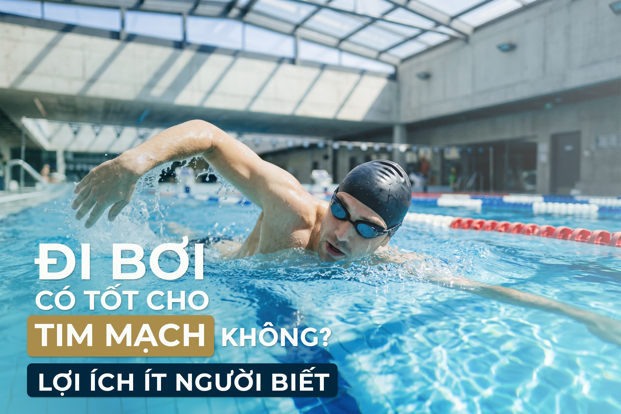 ĐI BƠI CÓ TỐT CHO TIM MẠCH KHÔNG? LỢI ÍCH ÍT NGƯỜI BIẾT