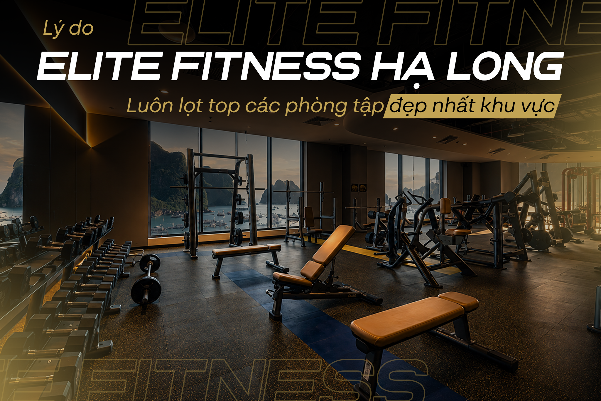 LÝ DO ELITE FITNESS HẠ LONG LUÔN LỌT TOP CÁC PHÒNG TẬP ĐẸP NHẤT KHU VỰC
