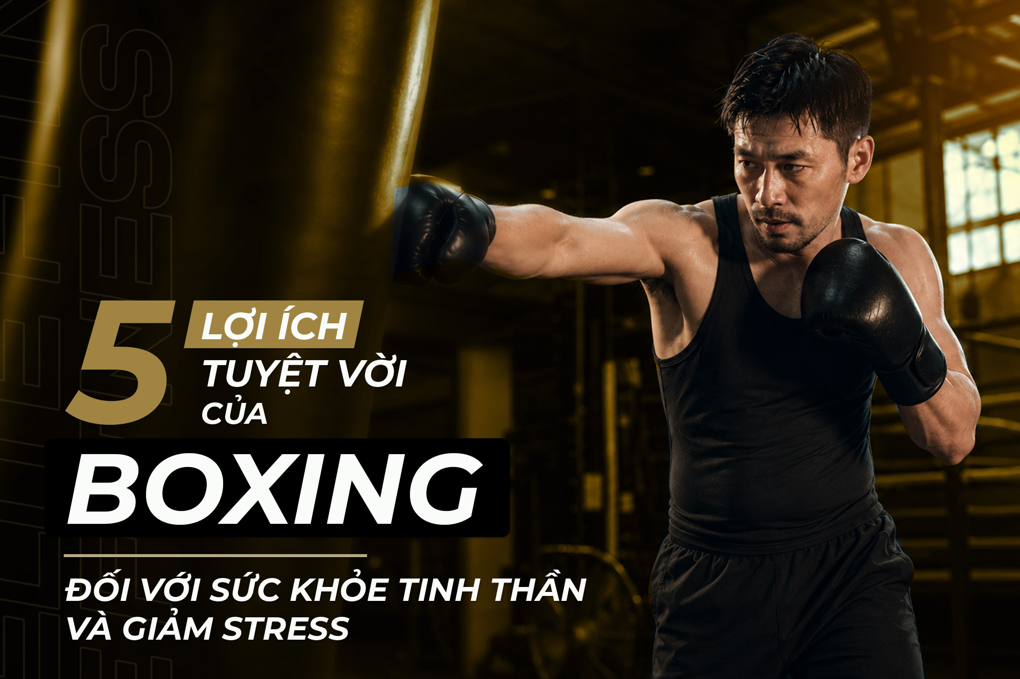 5 LỢI ÍCH TUYỆT VỜI CỦA BOXING ĐỐI VỚI SỨC KHỎE TINH THẦN VÀ GIẢM STRESS