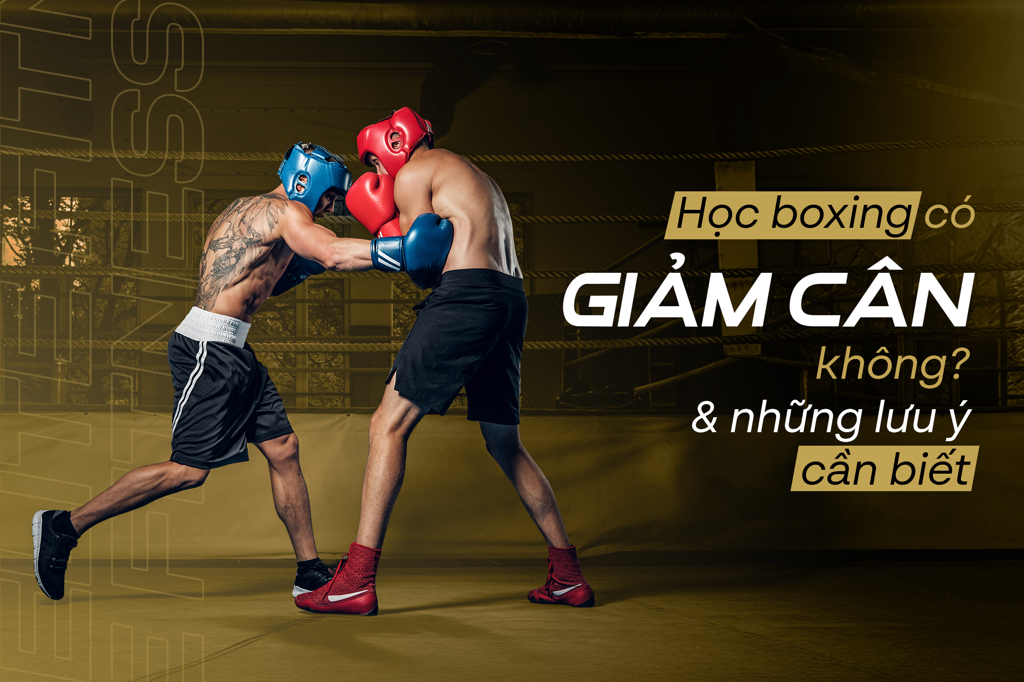 HỌC BOXING CÓ GIẢM CÂN KHÔNG? VÀ NHỮNG LƯU Ý CẦN BIẾT