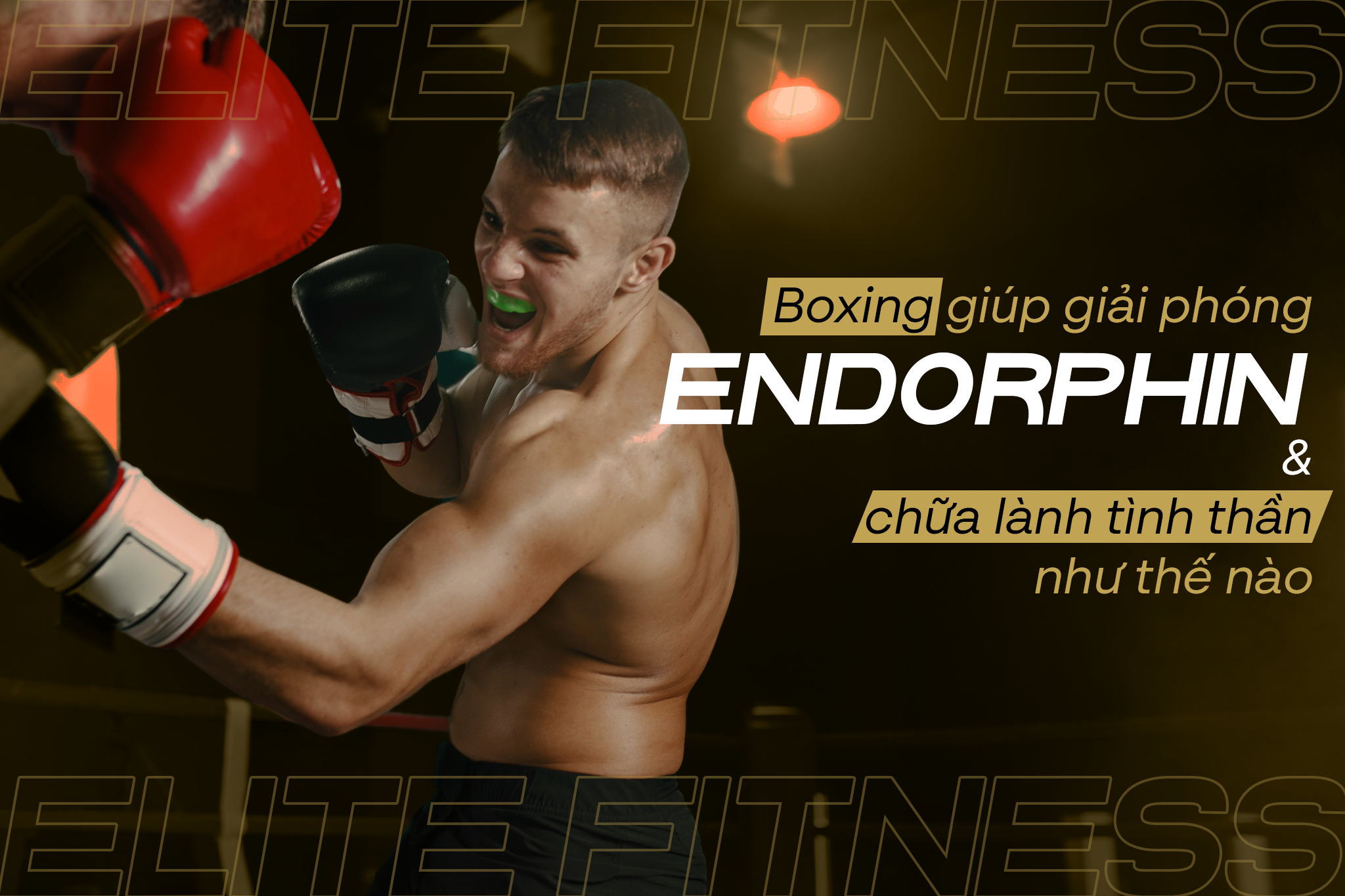 BOXING GIÚP GIẢI PHÓNG ENDORPHIN & CHỮA LÀNH TINH THẦN NHƯ THẾ NÀO?