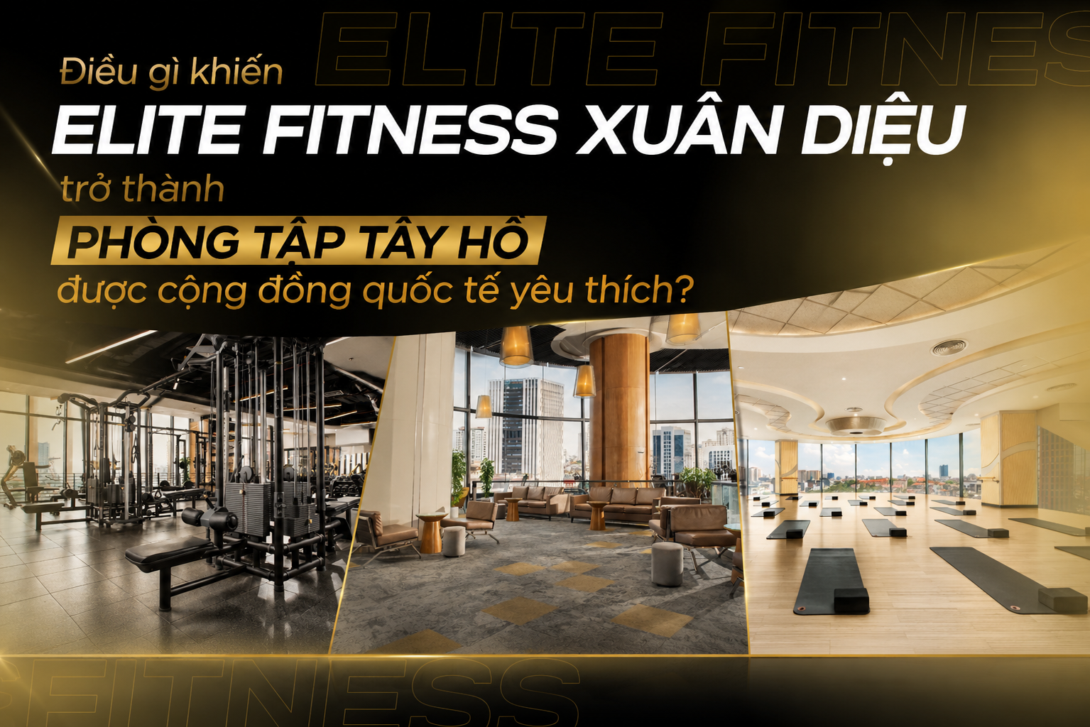 ĐIỀU GÌ KHIẾN ELITE FITNESS XUÂN DIỆU TRỞ THÀNH PHÒNG TẬP TÂY HỒ ĐƯỢC CỘNG ĐỒNG QUỐC TẾ YÊU THÍCH?