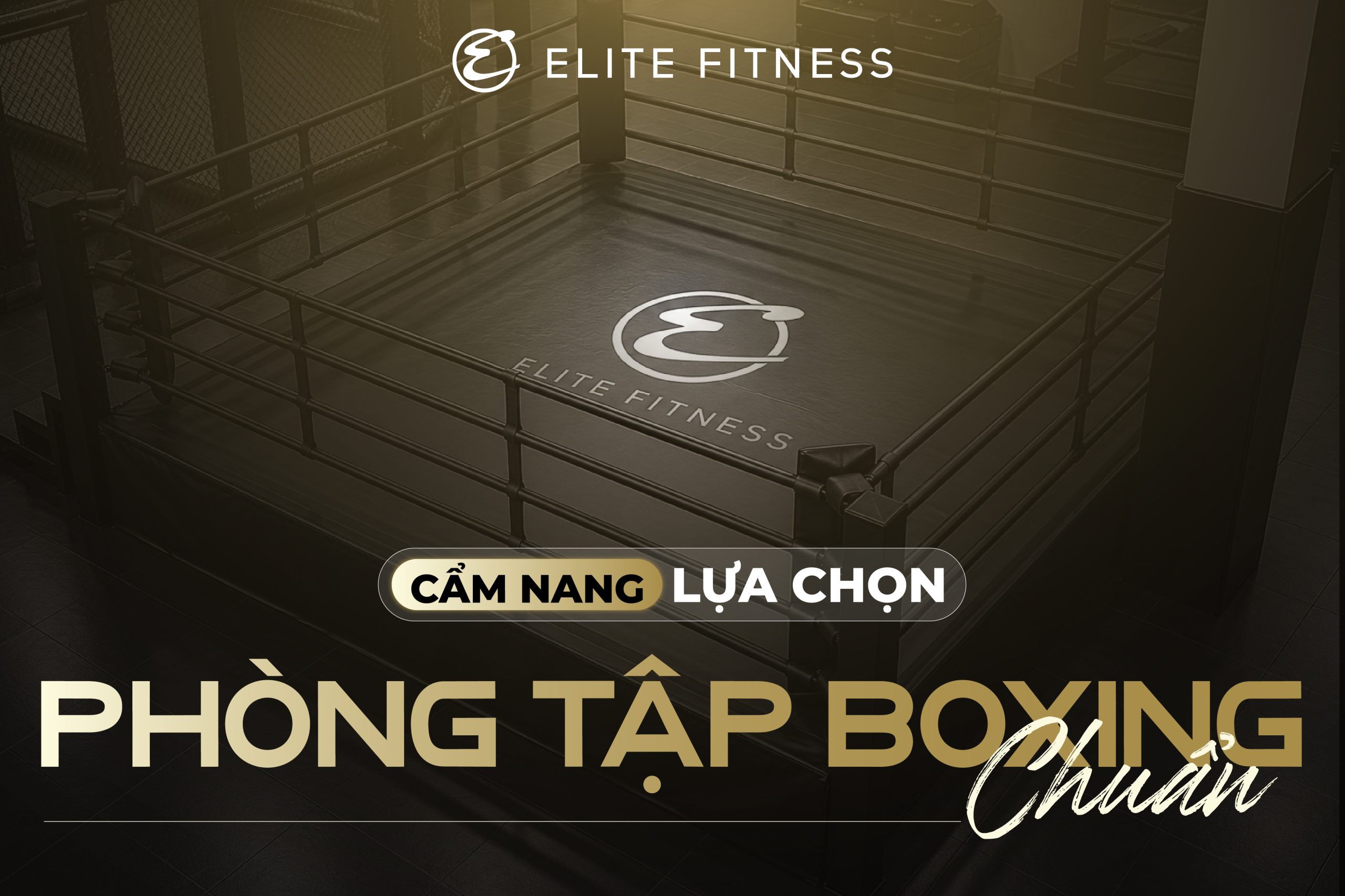 CẨM NANG CHỌN PHÒNG TẬP BOXING “CỰC CHUẨN” TẠI HÀ NỘI