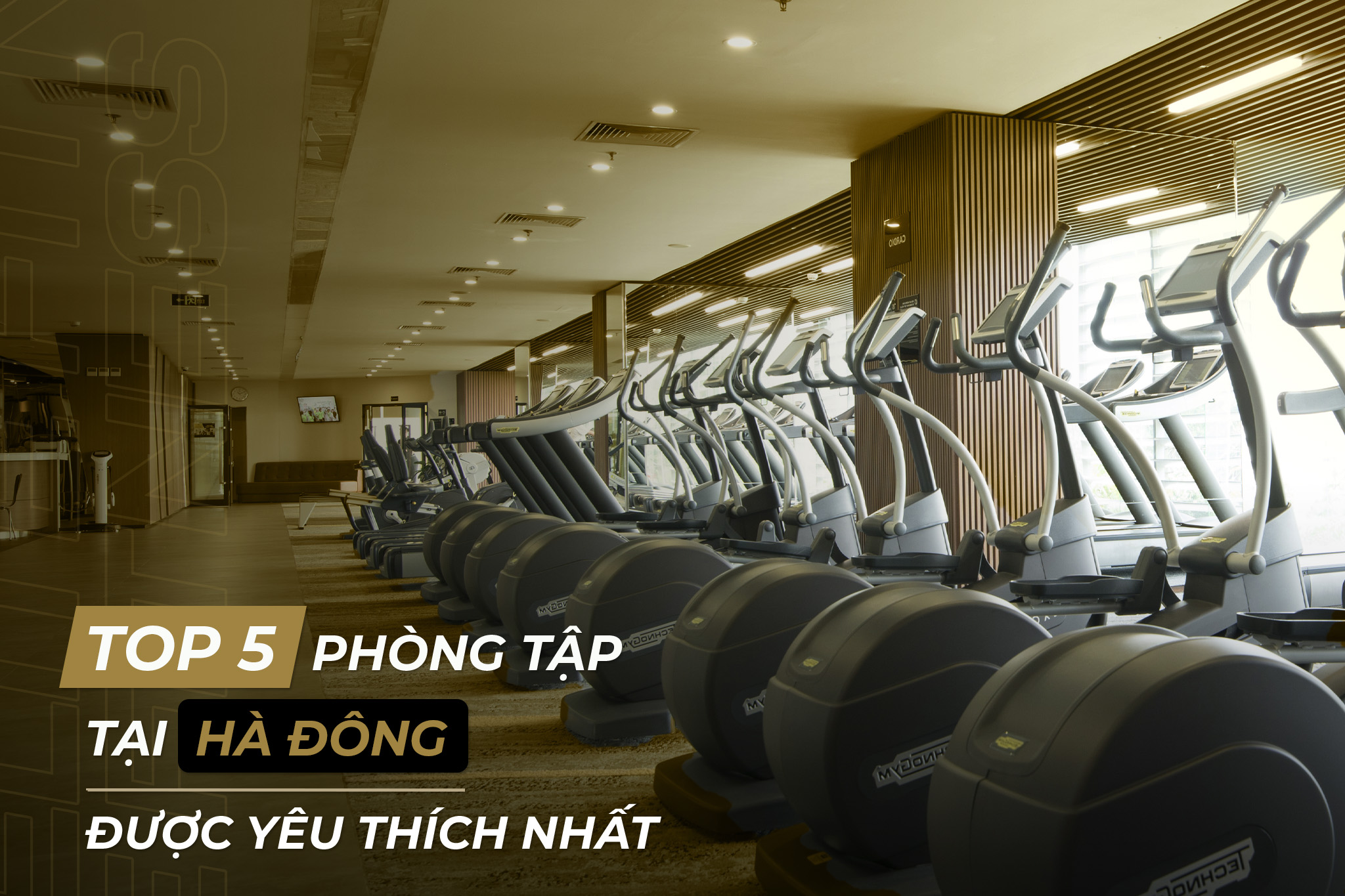 TOP 5 PHÒNG TẬP TẠI QUẬN HÀ ĐÔNG ĐƯỢC YÊU THÍCH NHẤT