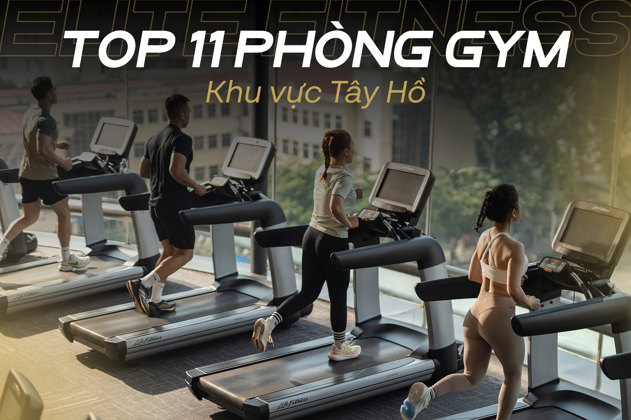 TOP 11 PHÒNG GYM KHU VỰC TÂY HỒ CHẤT LƯỢNG, GIÁ TỐT NHẤT 2026