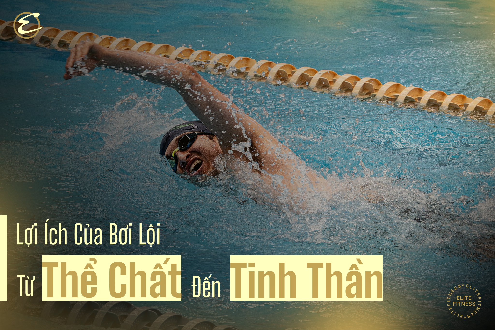 Lợi ích của bơi lội: Từ thể chất đến tinh thần