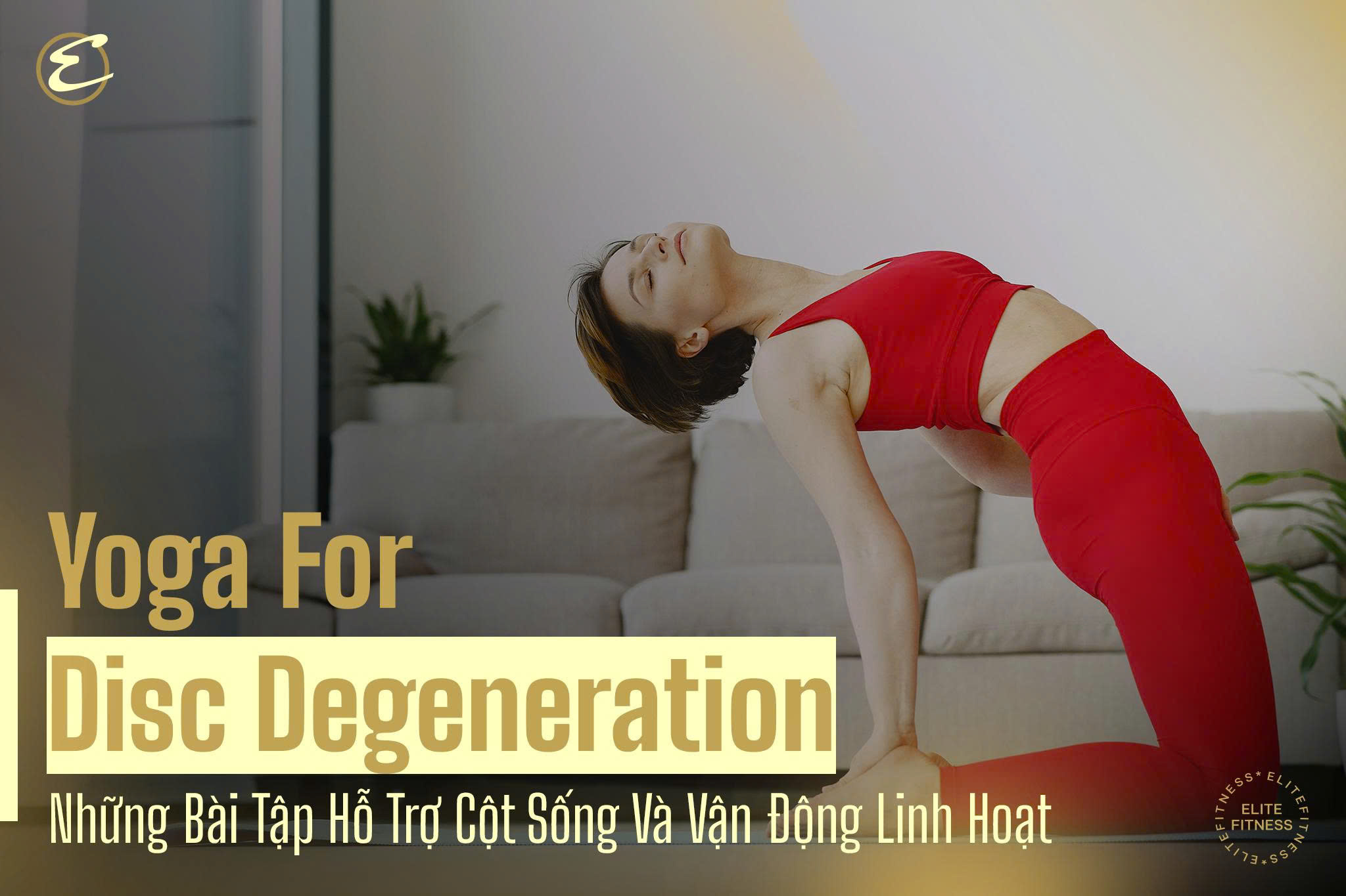 Yoga For Disc Degeneration: Những bài tập hỗ trợ cột sống và vận động linh hoạt