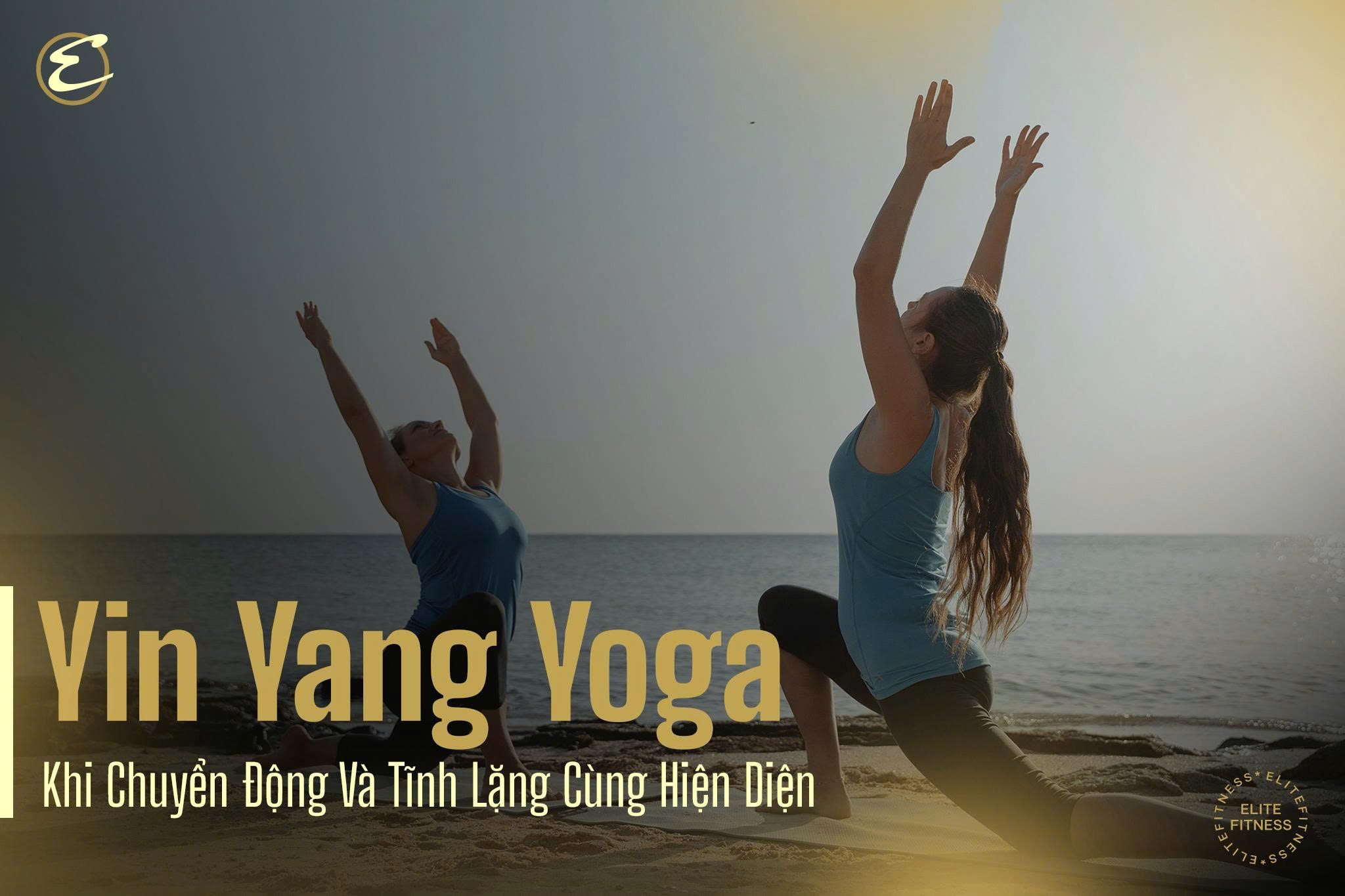 Yin Yang Yoga: Khi chuyển động và tĩnh lặng cùng hiện diện