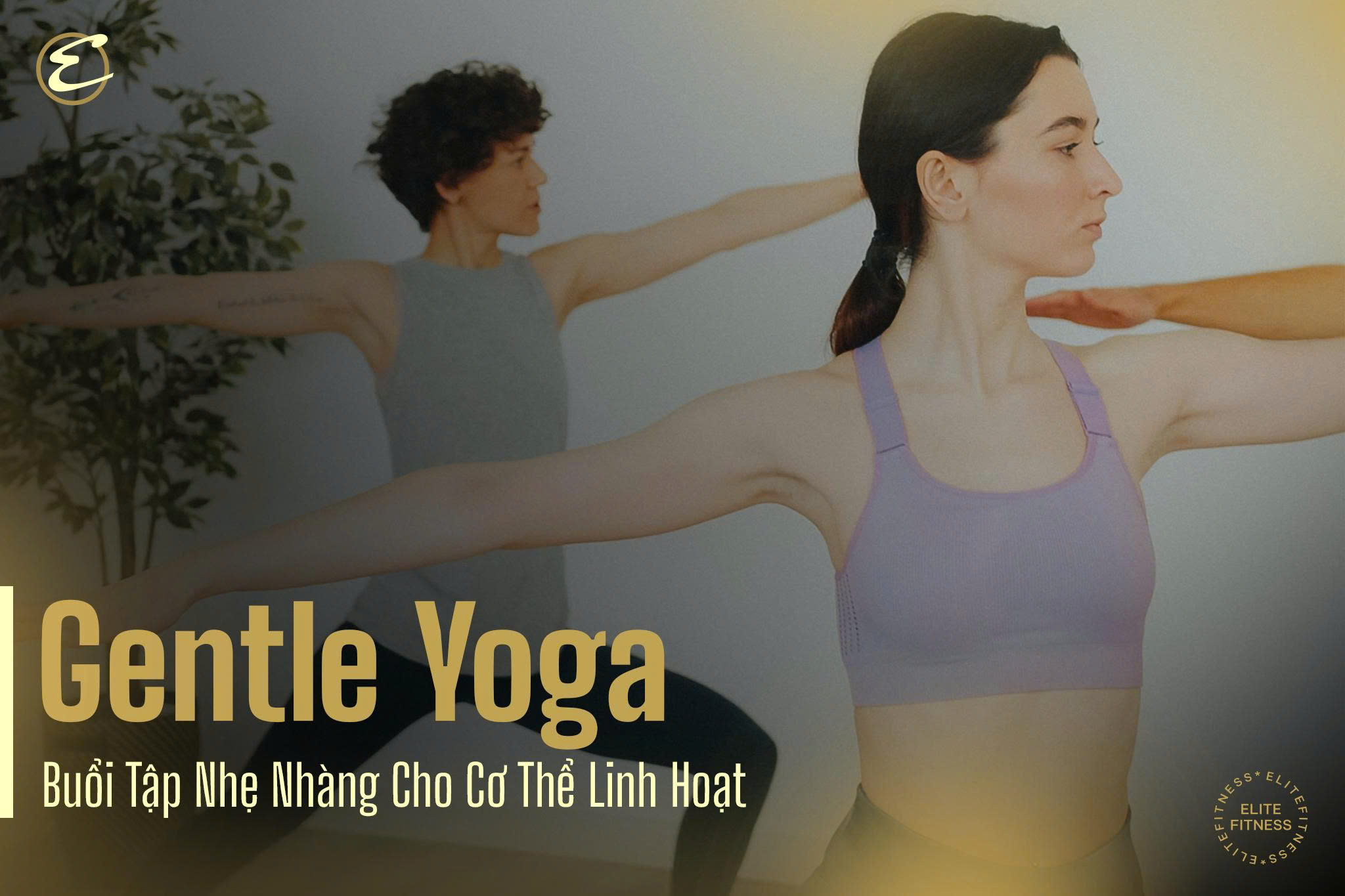 Gentle Yoga: Buổi tập nhẹ nhàng cho cơ thể linh hoạt