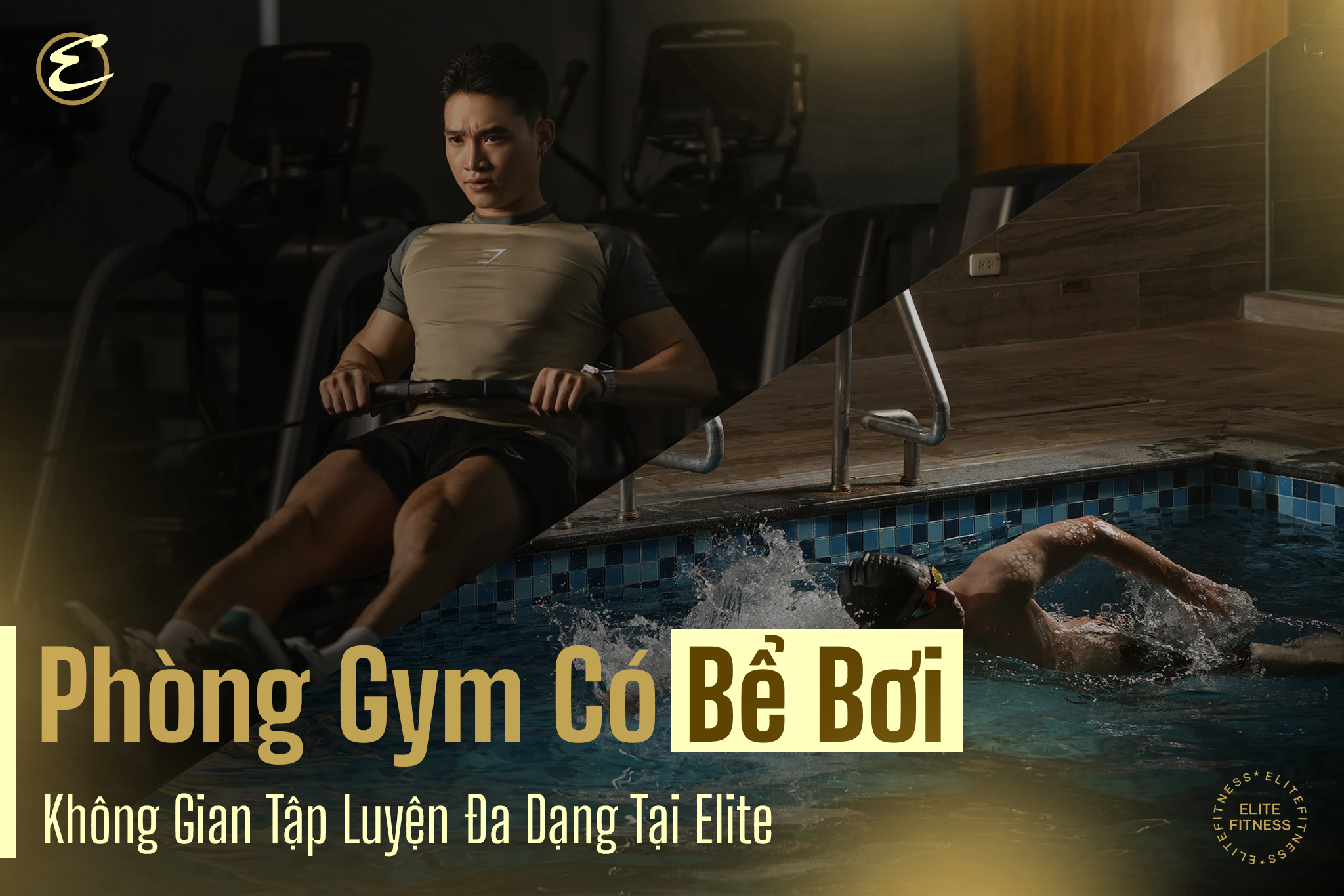 Phòng gym có bể bơi: Không gian tập luyện đa dạng tại Elite
