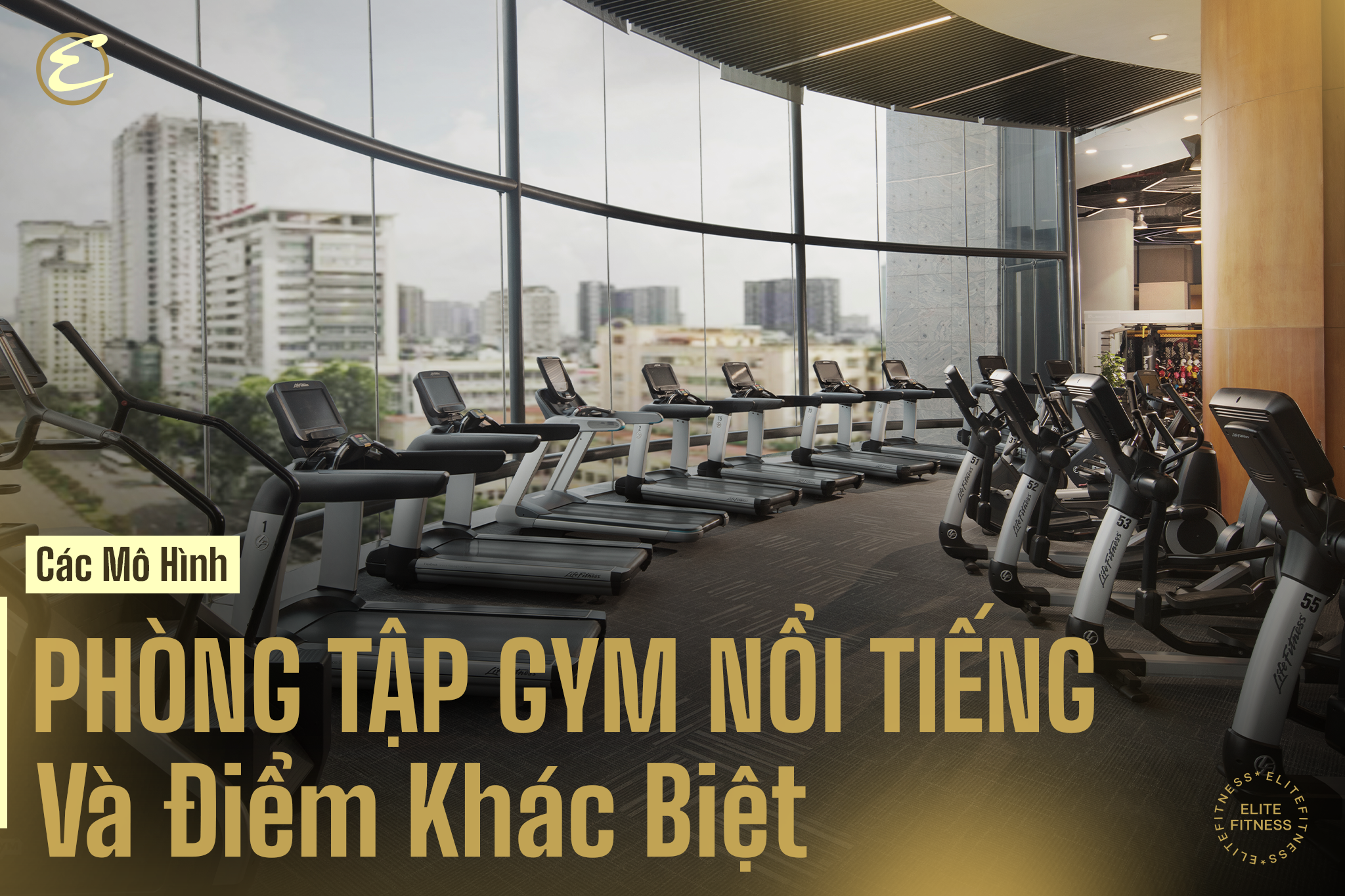 Các mô hình phòng tập gym phổ biến và điểm khác biệt