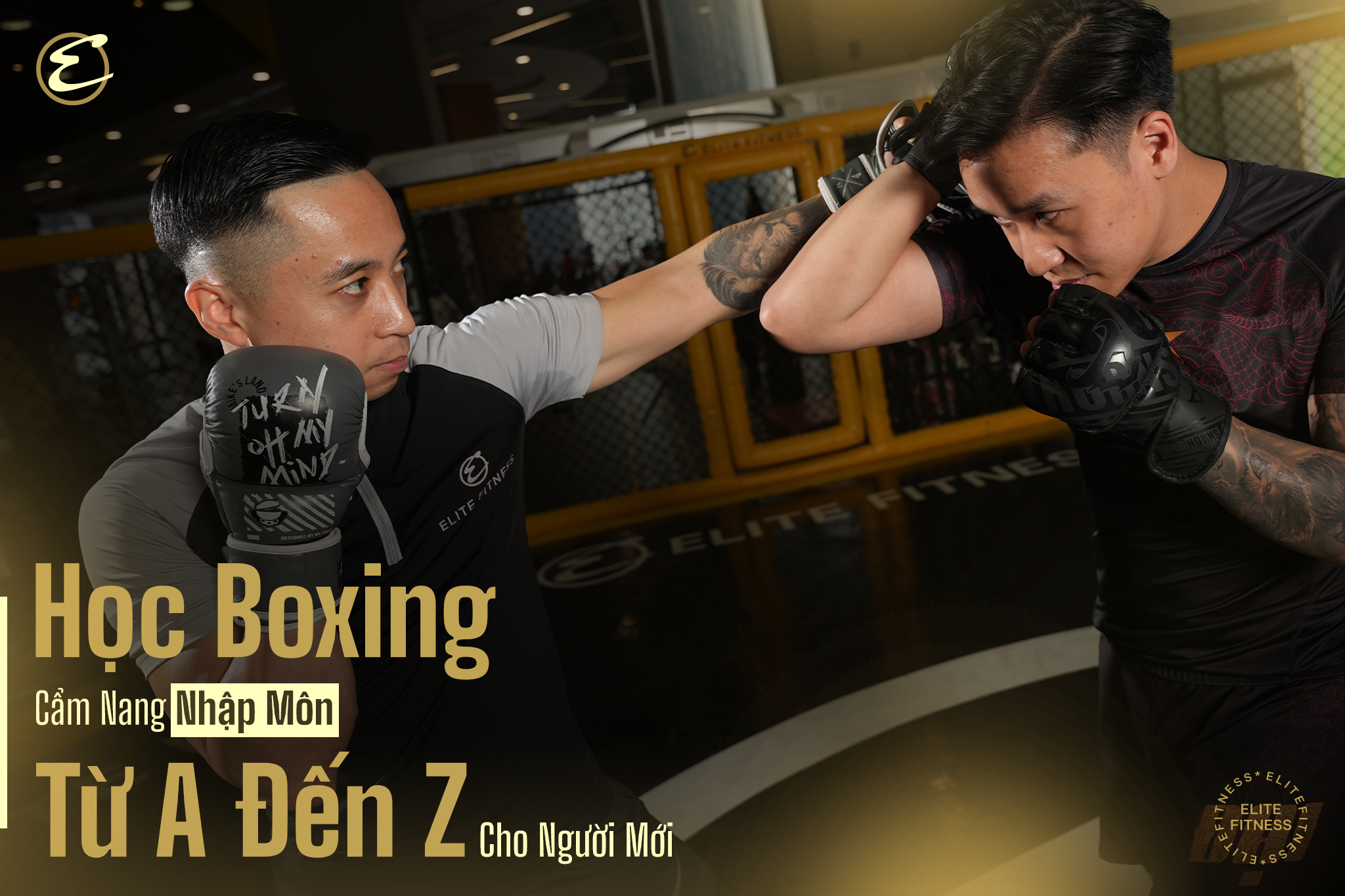 Học BOXING: Cẩm nang nhập môn từ A-Z cho người mới