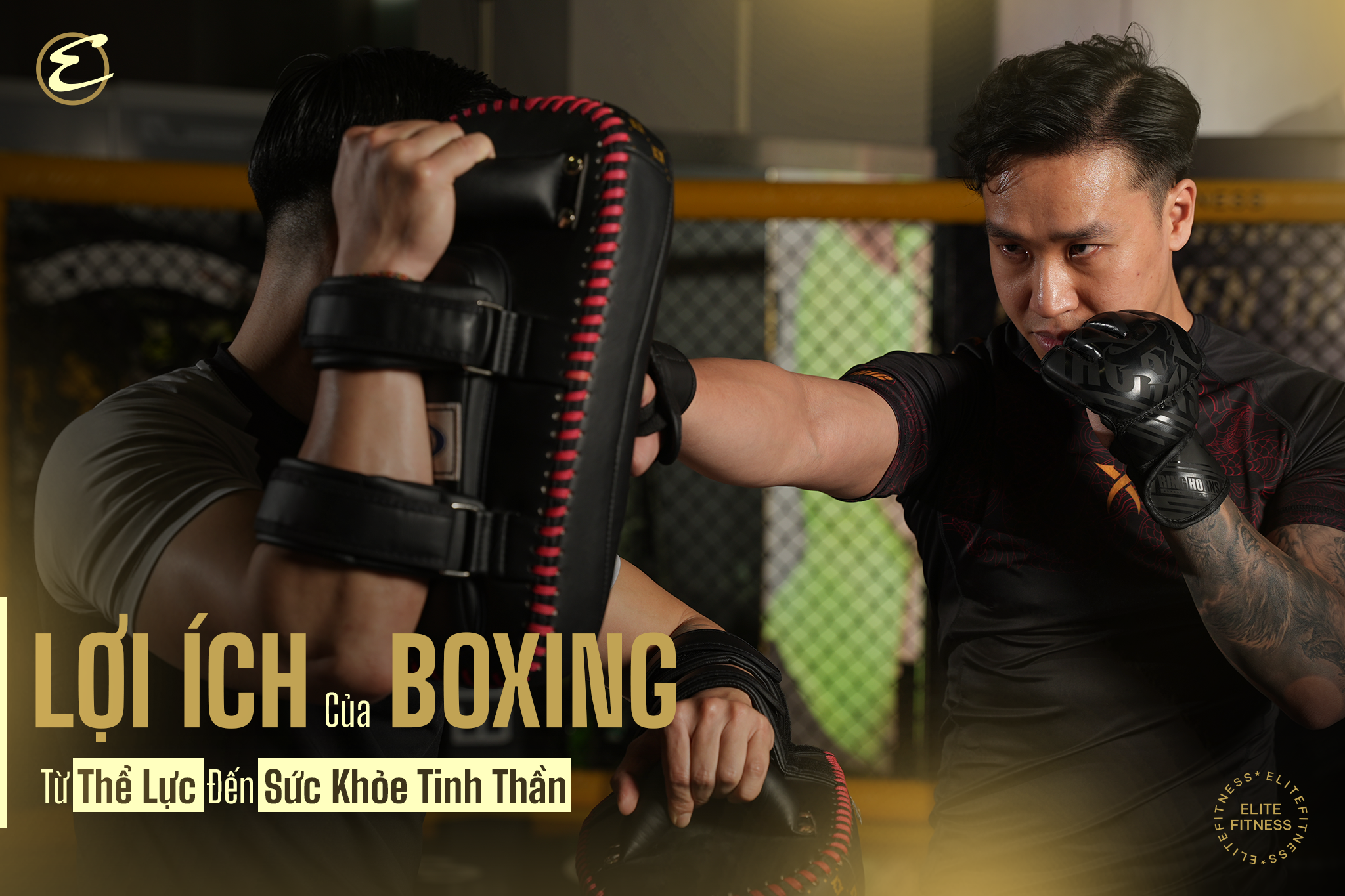 Lợi ích của boxing: Từ thể lực đến sức khỏe tinh thần