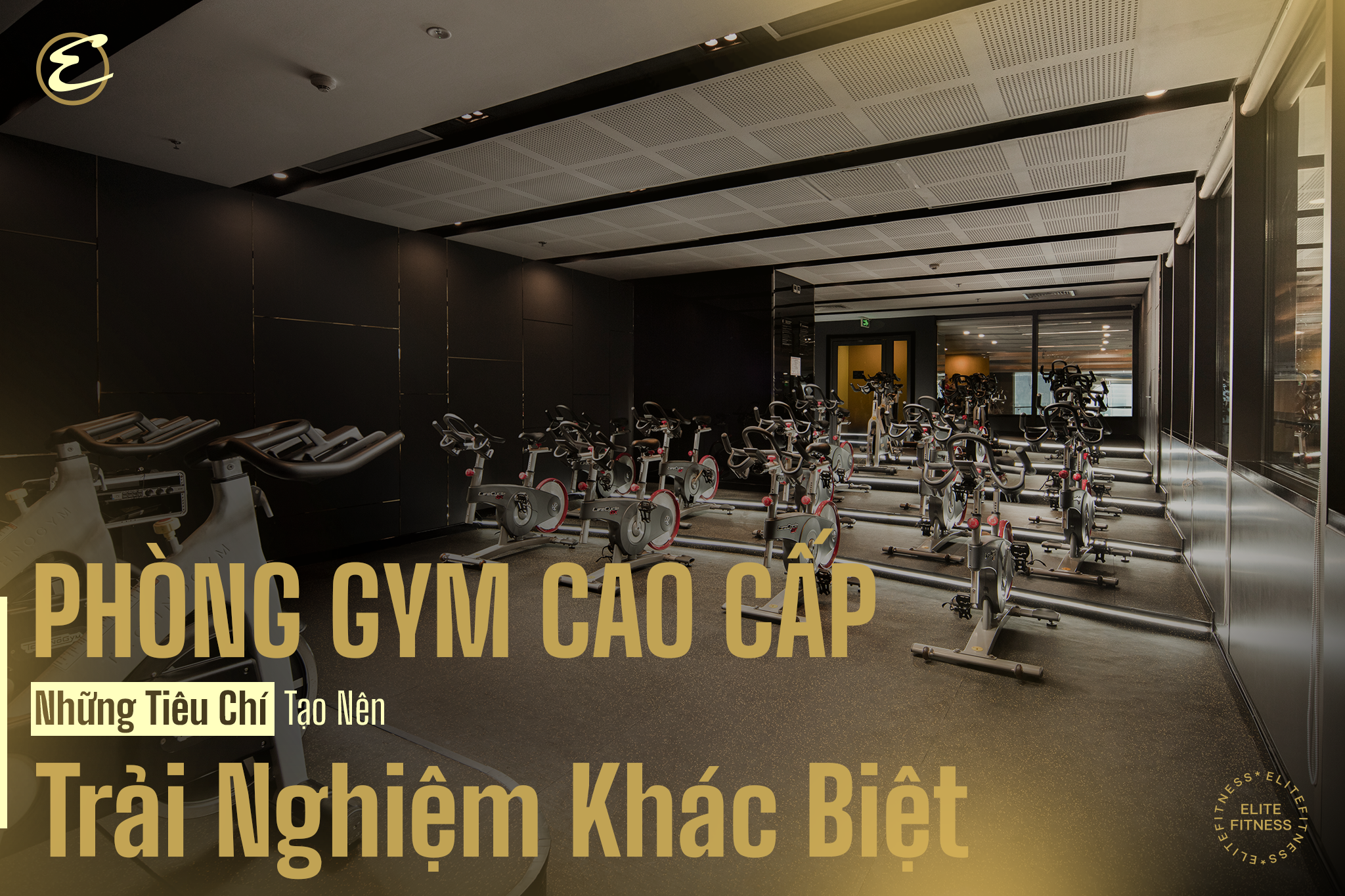 Phòng gym cao cấp: Những tiêu chí tạo nên trải nghiệm khác biệt