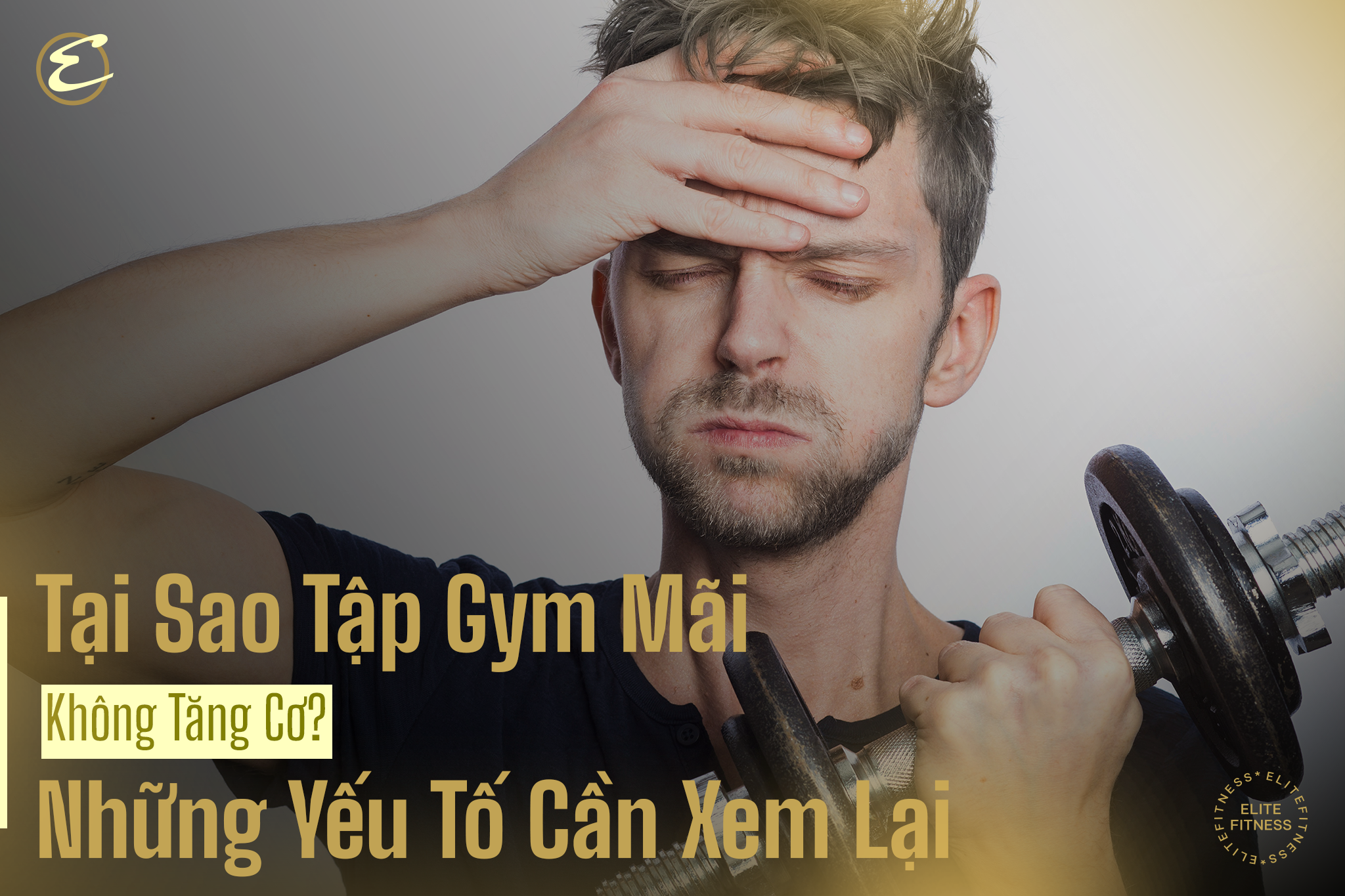 Tại sao tập gym mãi không tăng cơ? Những yếu tố cần xem lại