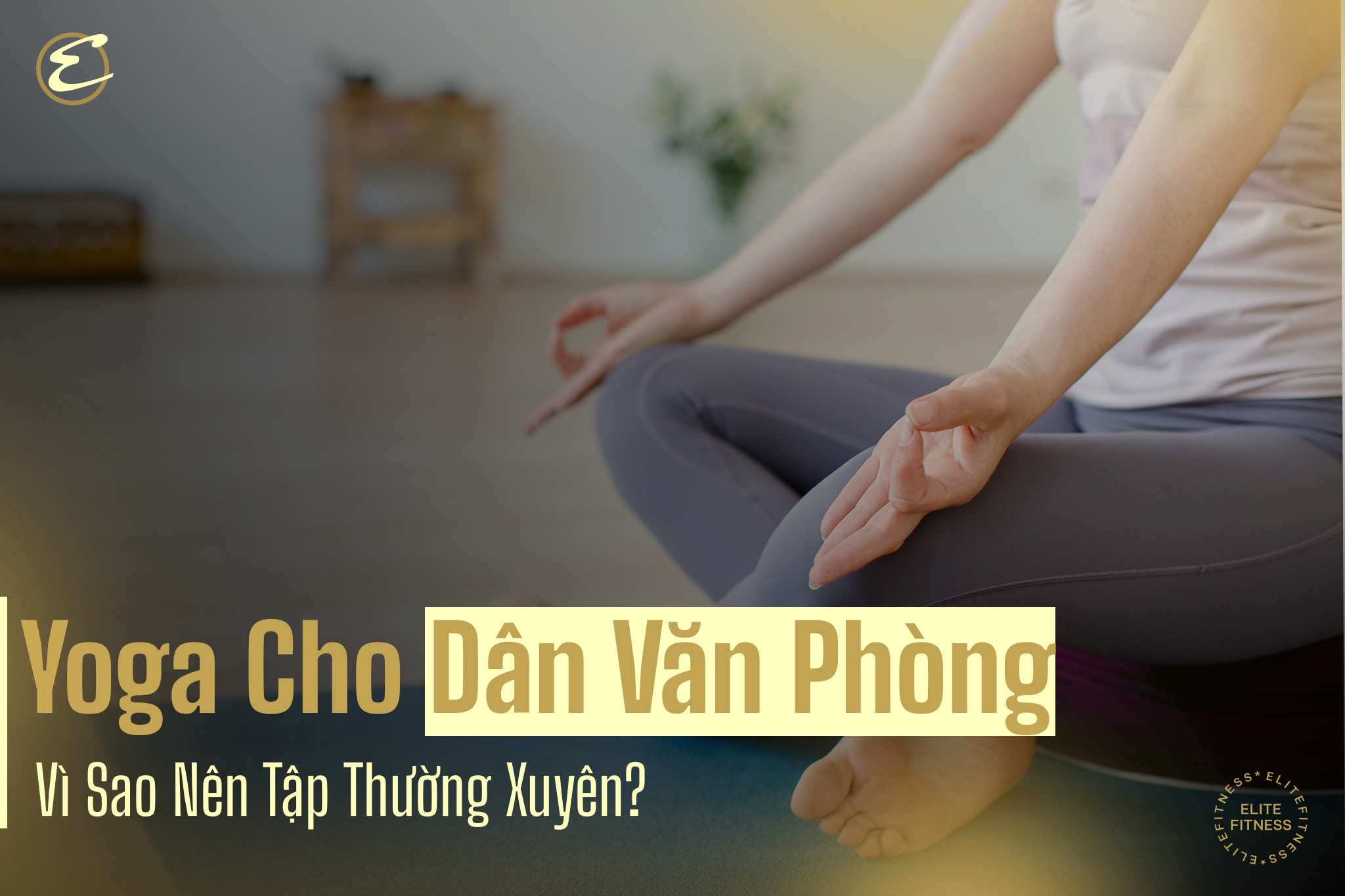 Yoga cho dân văn phòng: Vì sao nên tập thường xuyên